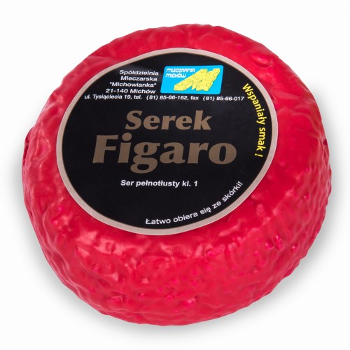 FIGARO kopia.jpg